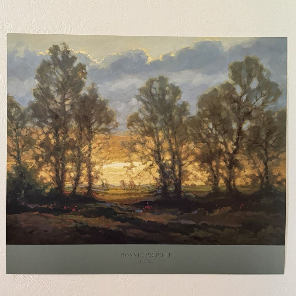Bonnie Posselli Eyes Of Nature 1991 Offset Lithograph Poster Art Print 24x28”